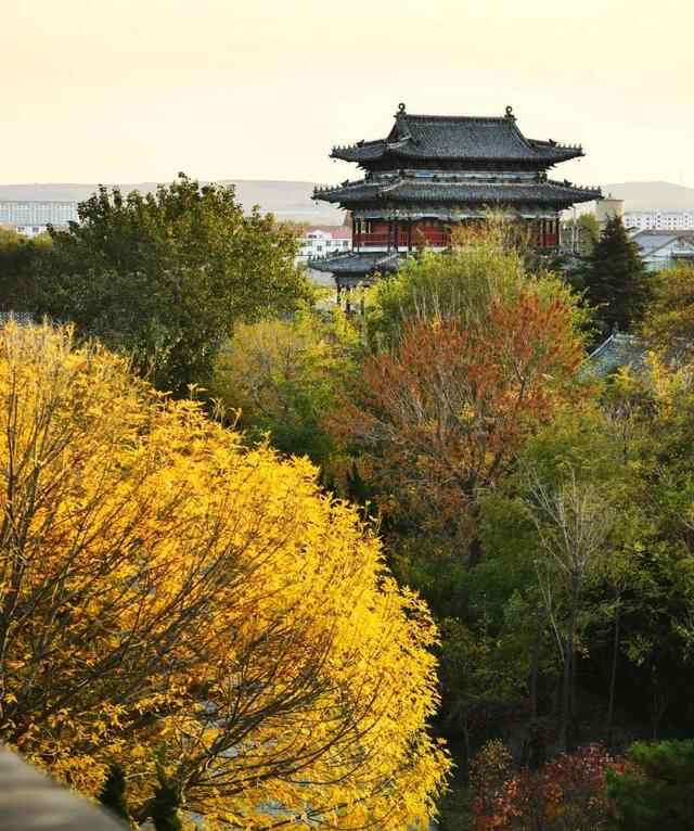 蓬莱的味道，我知道~