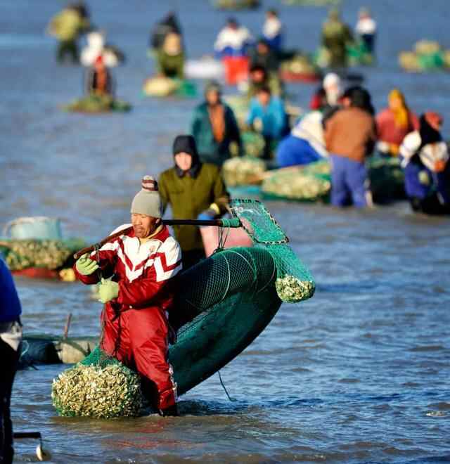 蓬莱的味道，我知道~