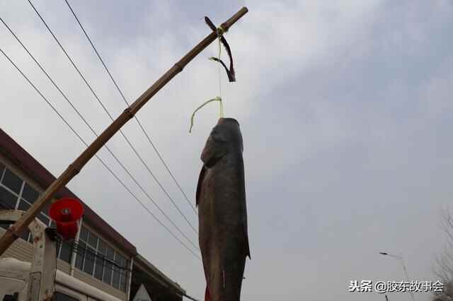 组图：烟台莱阳这个村今天赶山会，看看都有啥好吃的？