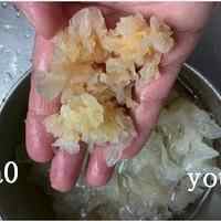 阴润肺的---莱阳梨炖三白的做法步骤