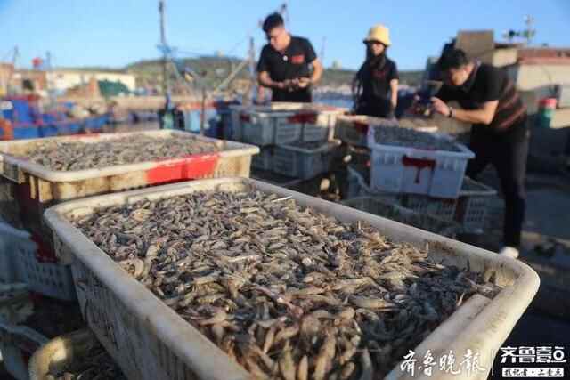 寻鲜｜烟台“聚海楼”里聚集这些特色美食，“吃货”速收藏