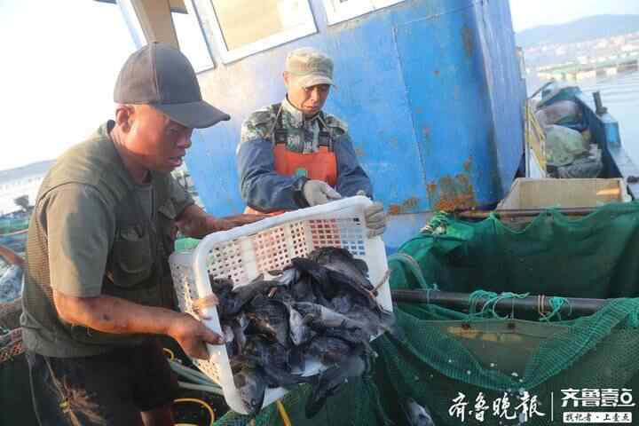 寻鲜｜烟台“聚海楼”里聚集这些特色美食，“吃货”速收藏