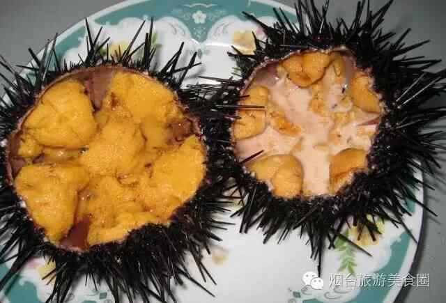 精选烟台各大菜系中的花魁馆子，看看你去过几家？