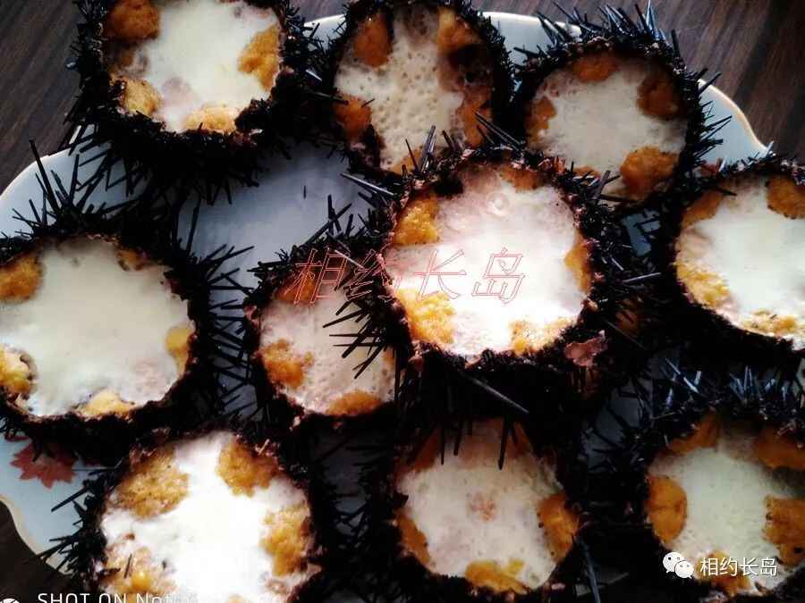 长岛—“十大网红海鲜”