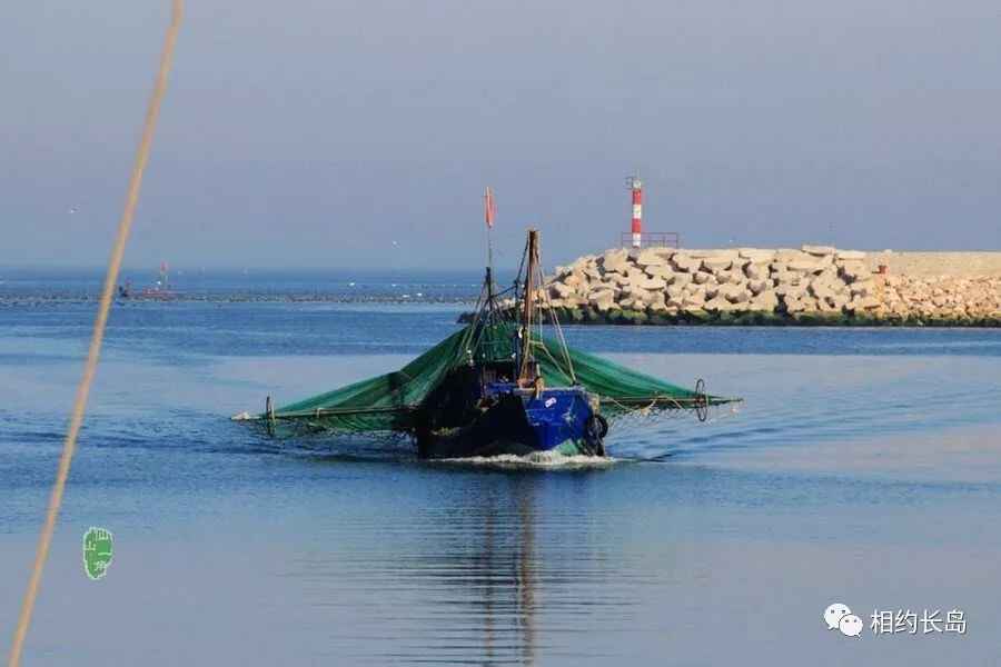 长岛—“十大网红海鲜”