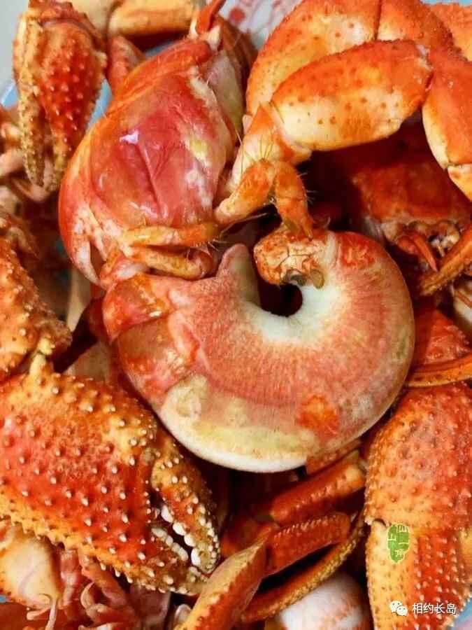 长岛—“十大网红海鲜”