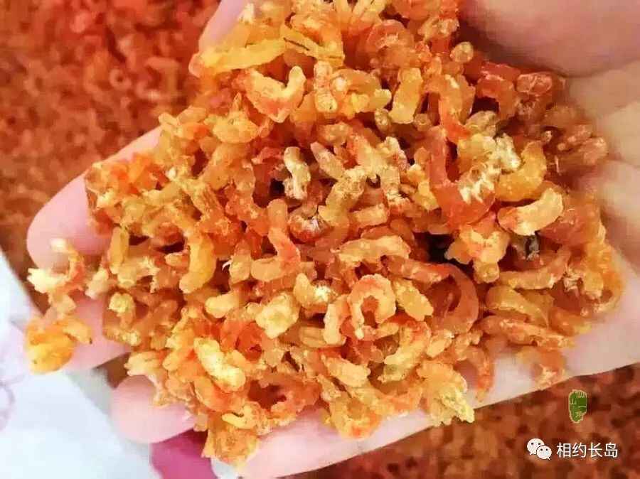长岛—“十大网红海鲜”