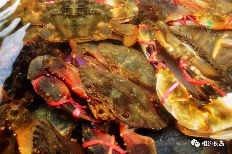 长岛—“十大网红海鲜”
