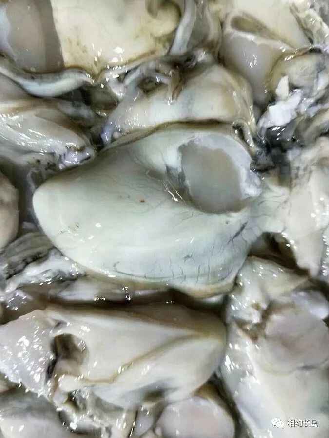 长岛—“十大网红海鲜”