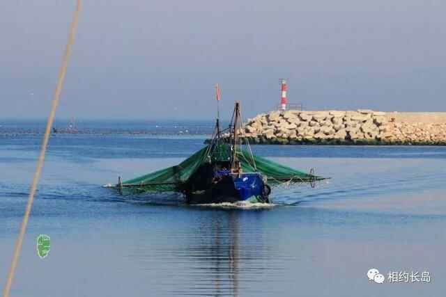 长岛—“十大网红海鲜”