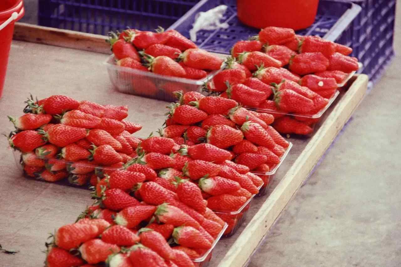 食在蓬莱-蓬莱美食