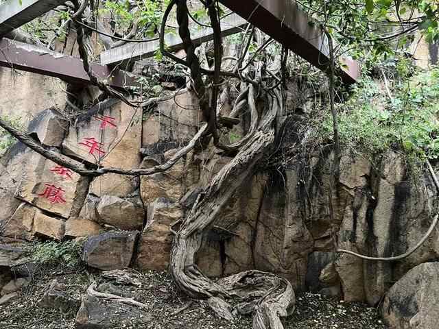 山海仙境 追梦龙口 品龙口美食，赏南山美景