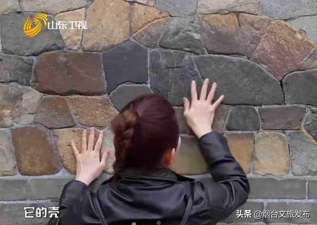 电视剧《好雨知时节》演员王思懿带您畅游栖霞！