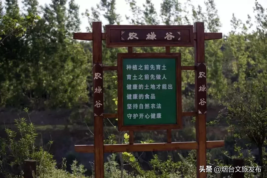莱山周边游推荐清单，全干货分享！