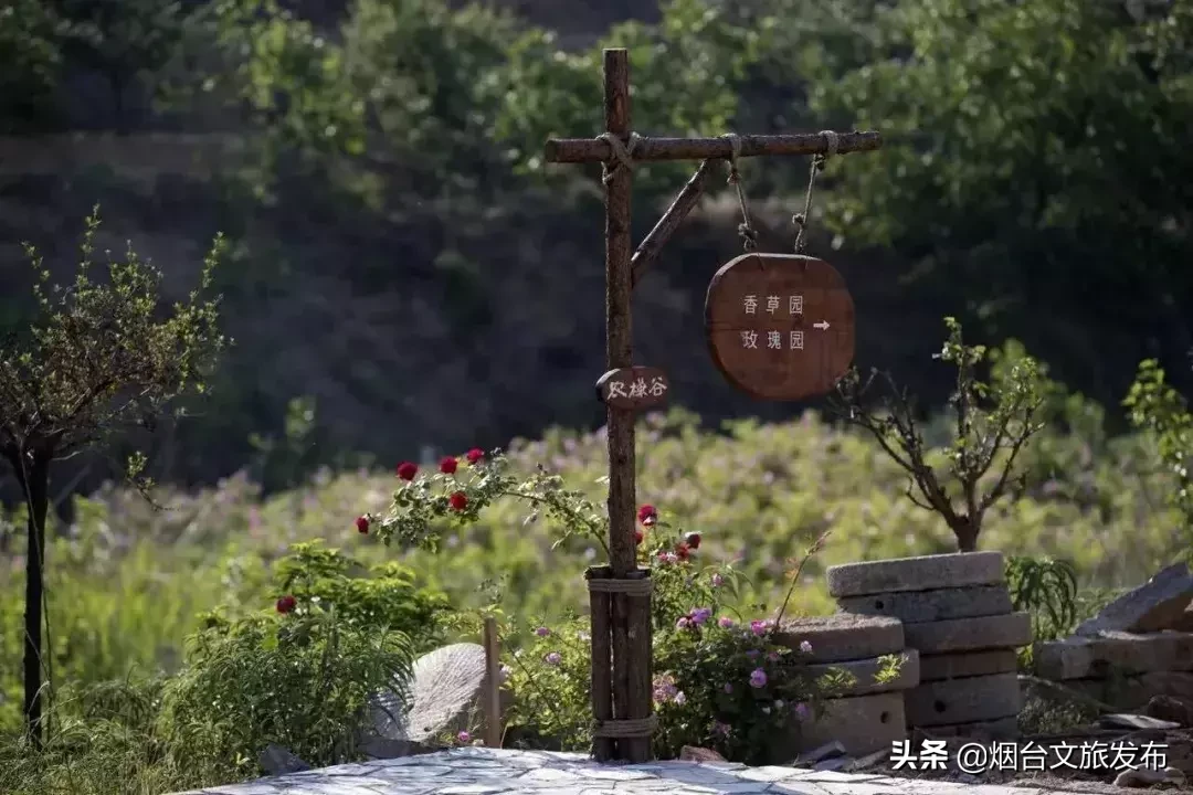 莱山周边游推荐清单，全干货分享！