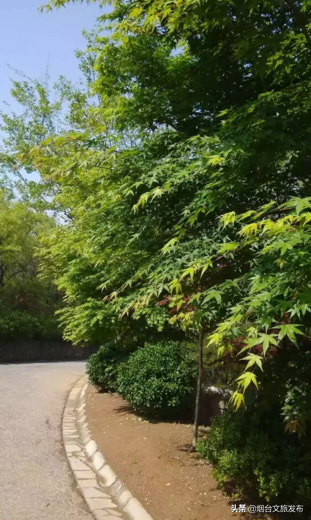 莱山周边游推荐清单，全干货分享！