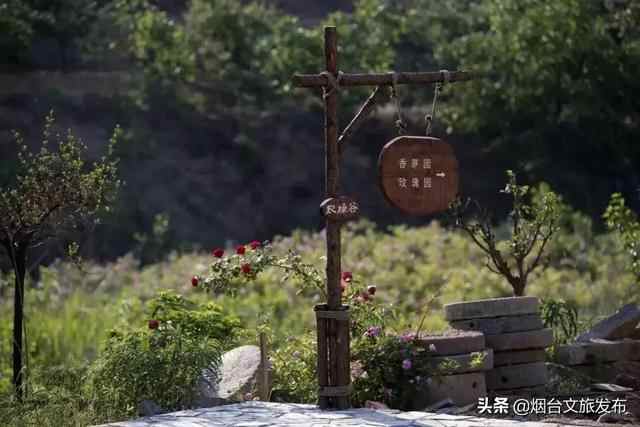 莱山周边游推荐清单，全干货分享！