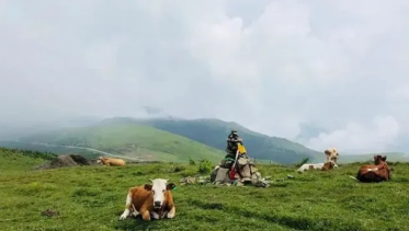 龙口特色美食 , 你来旅游的时候 , 一定不要错过