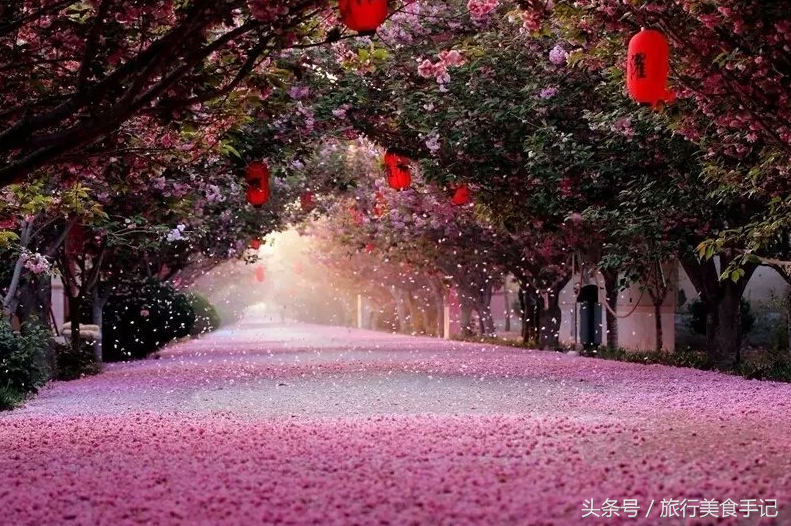 莱阳濯村入选“中国十大最美乡村”，系山东唯一入选村庄！