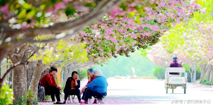 莱阳濯村入选“中国十大最美乡村”，系山东唯一入选村庄！