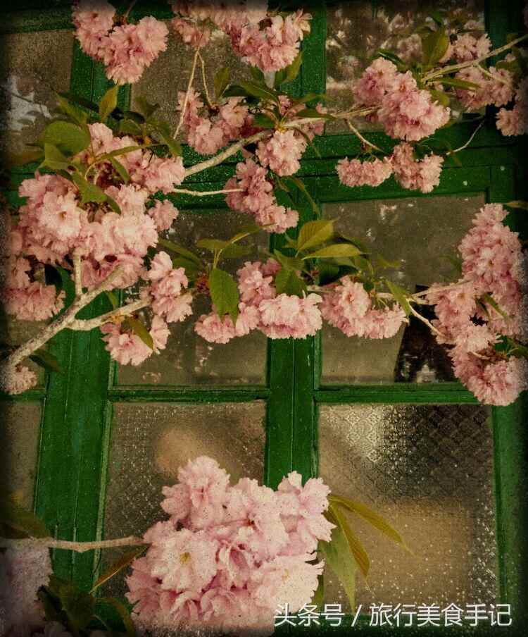 莱阳濯村入选“中国十大最美乡村”，系山东唯一入选村庄！