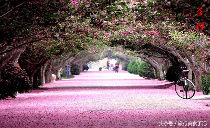 莱阳濯村入选“中国十大最美乡村”，系山东唯一入选村庄！