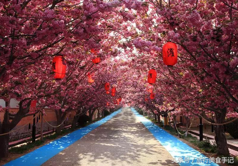 莱阳濯村入选“中国十大最美乡村”，系山东唯一入选村庄！