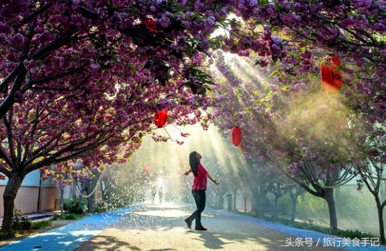 莱阳濯村入选“中国十大最美乡村”，系山东唯一入选村庄！