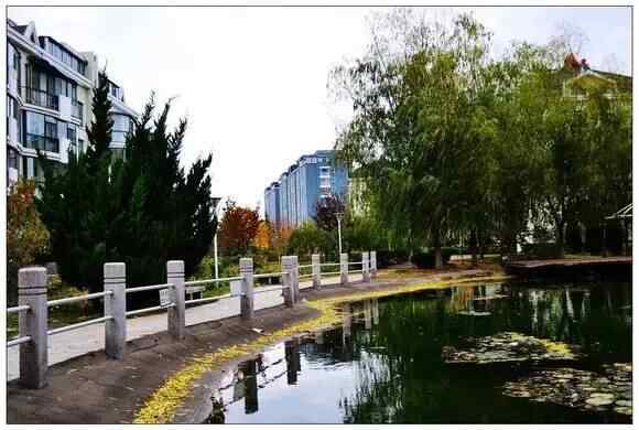 「魅力莱阳」看眼下的莱阳：山光水色万顷初冬景