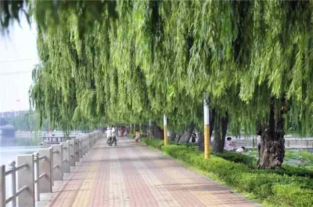 「魅力莱阳」看眼下的莱阳：山光水色万顷初冬景