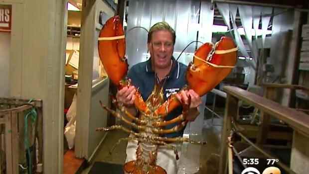 周立波被抓的美国纽约长岛，有什么出名的美食？