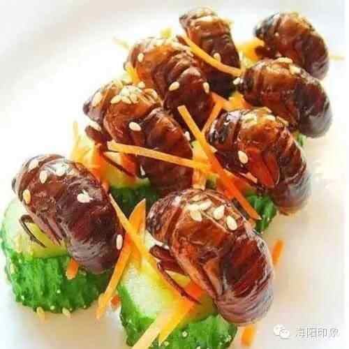 因为吃惯了海阳的美食，便再也无法生活在其他城市！