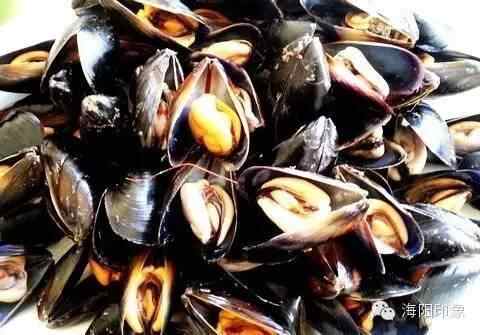 因为吃惯了海阳的美食，便再也无法生活在其他城市！