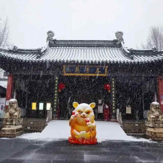 用15种美食为大雪打call