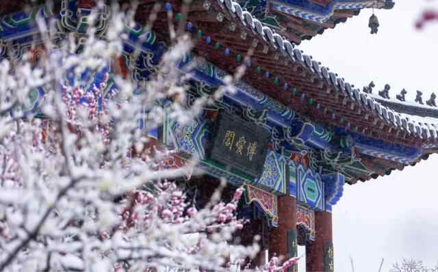 用15种美食为大雪打call