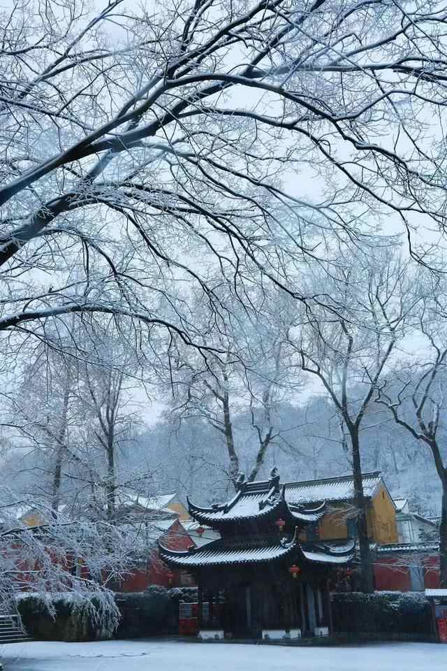 用15种美食为大雪打call