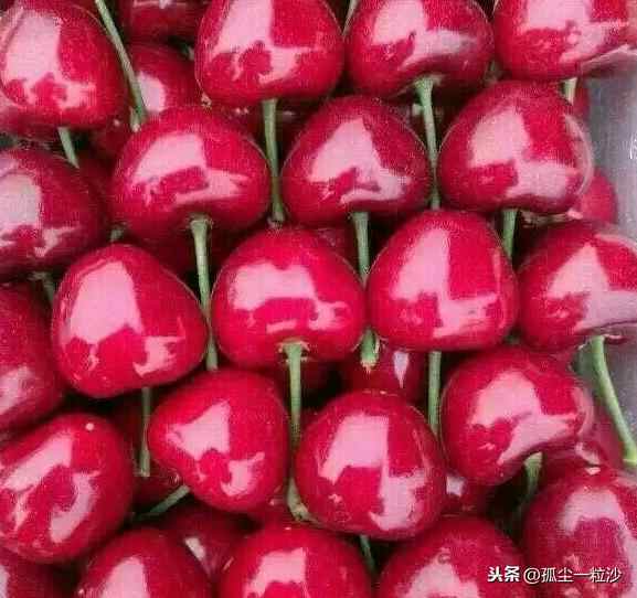 烟台莱州市6大推荐美食，这些地方美食值得你的品尝