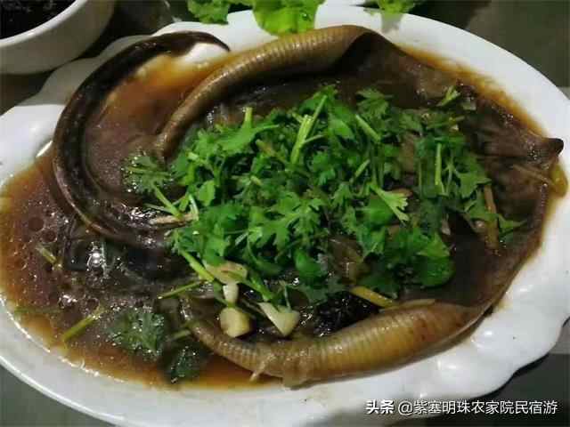 山东长岛小胖渔家：一起寻找不曾发现的安静浪漫，风格独具的美好