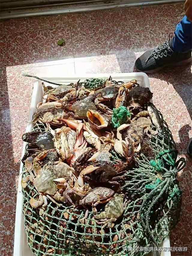 山东长岛小胖渔家：一起寻找不曾发现的安静浪漫，风格独具的美好