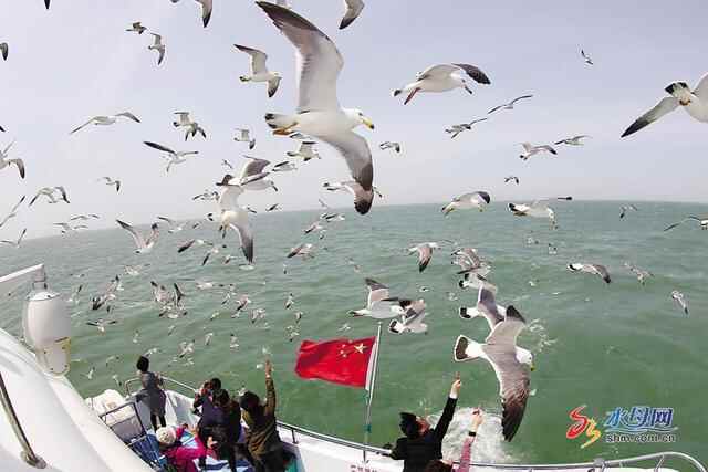 烟台人游长岛活动启动 烟台市民可享受100元年卡特惠