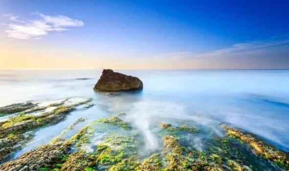 ｜马拉松之长岛美食探寻 槐花鱼**味道真是绝了