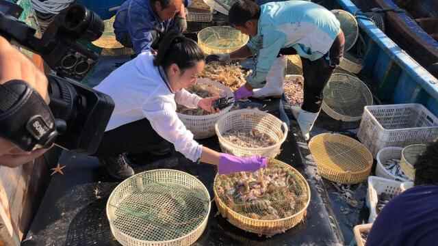 ｜马拉松之长岛美食探寻 槐花鱼**味道真是绝了