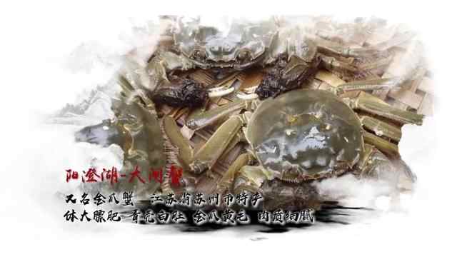 今天逛吃江苏和安徽！臭鳜鱼闻着臭吃着香东台鱼汤面料头足味道鲜
