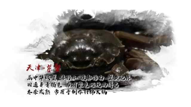今天逛吃江苏和安徽！臭鳜鱼闻着臭吃着香东台鱼汤面料头足味道鲜