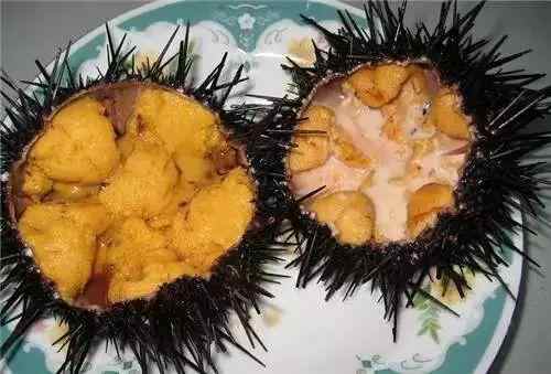 舌尖上的海阳：不负美好“食”光
