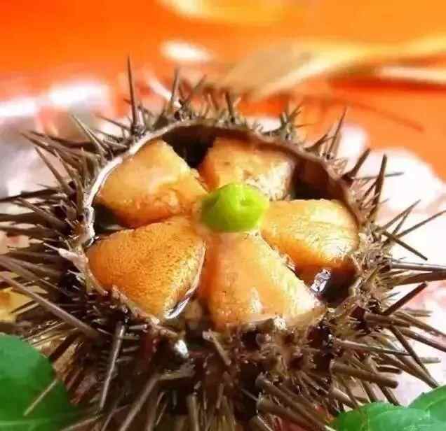 舌尖上的海阳：不负美好“食”光