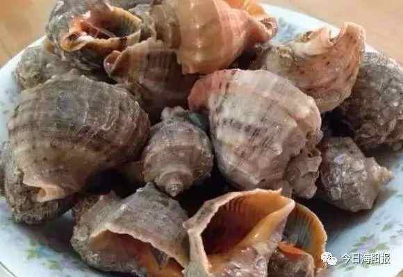 舌尖上的海阳：不负美好“食”光