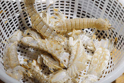 烟台爬虾大量上市，美食攻略都在这里了，速看