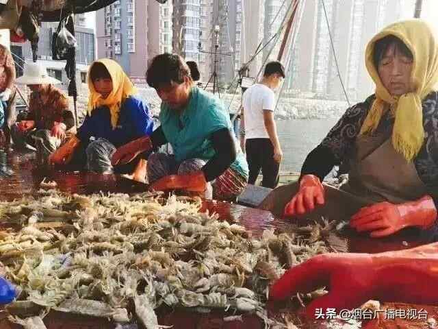 烟台爬虾大量上市，美食攻略都在这里了，速看