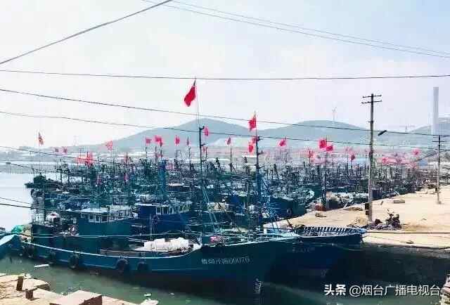 烟台爬虾大量上市，美食攻略都在这里了，速看